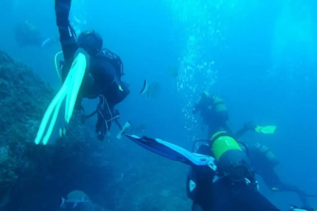 Mare Nostrum 422 L'Estartit 0*,  Spain